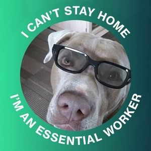 Meet your Posher, Bobbi